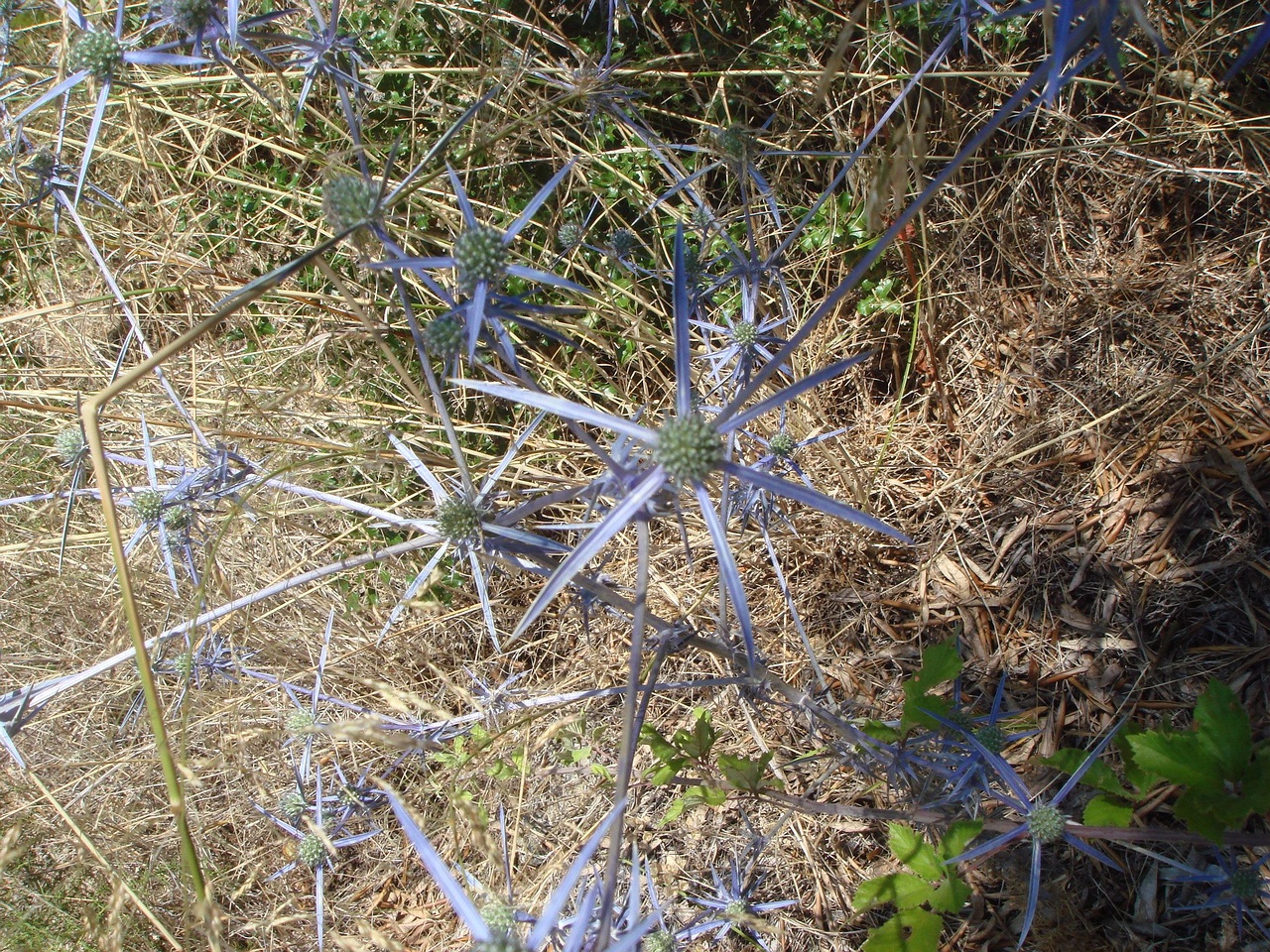 DSC02576