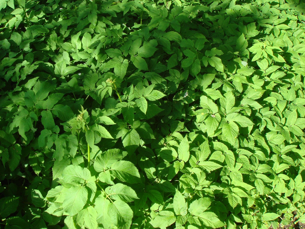 DSC01023