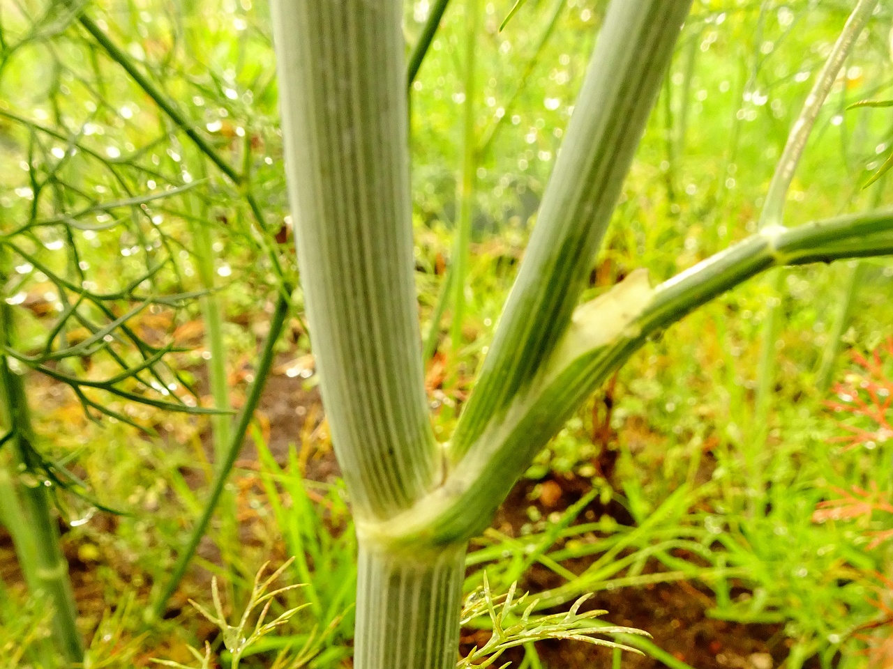 DSC00159