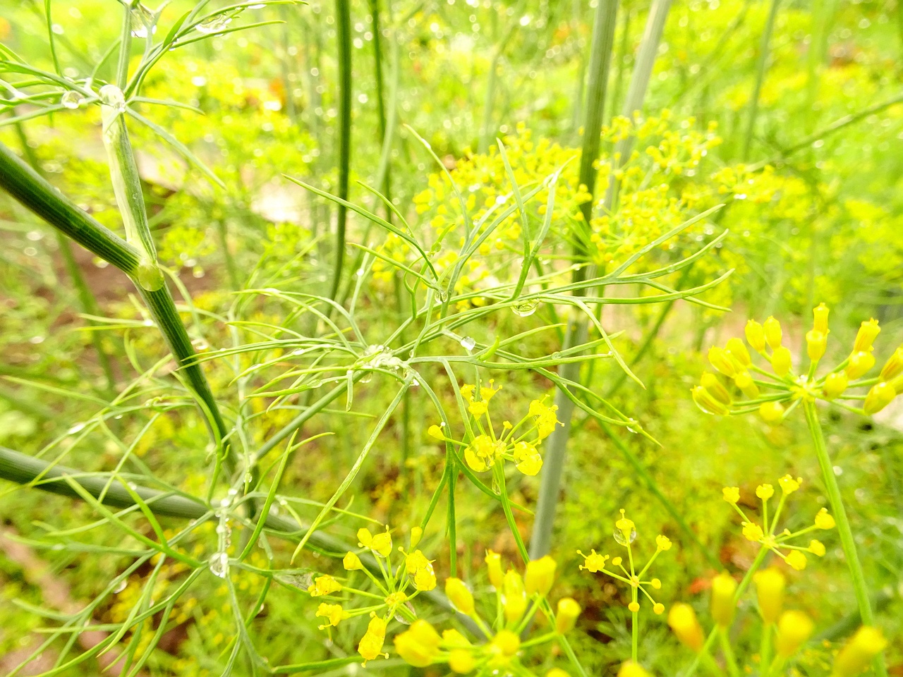 DSC00161