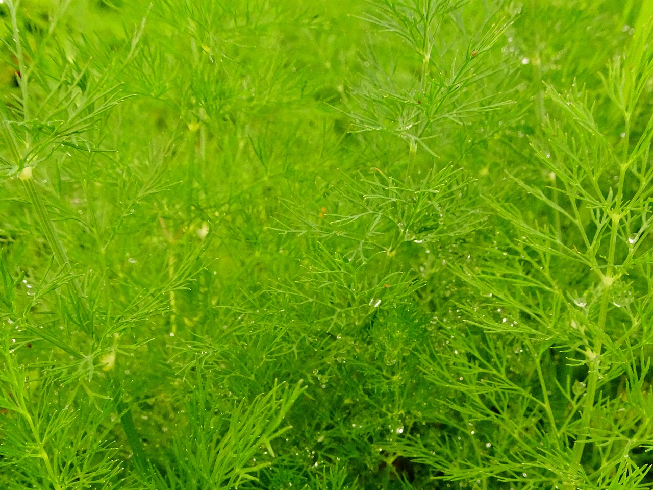 DSC00162
