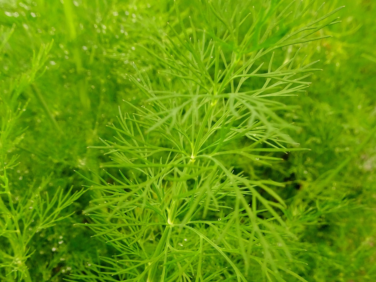 DSC00163