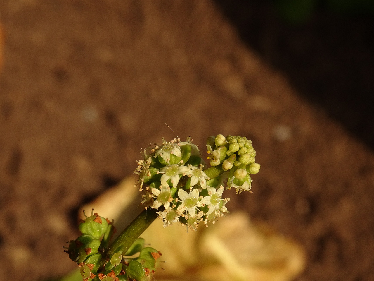 DSC03764