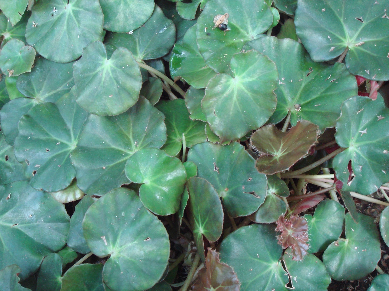 DSC06747