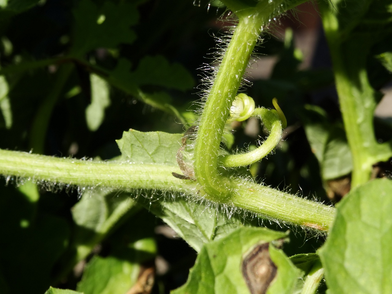 DSC03355