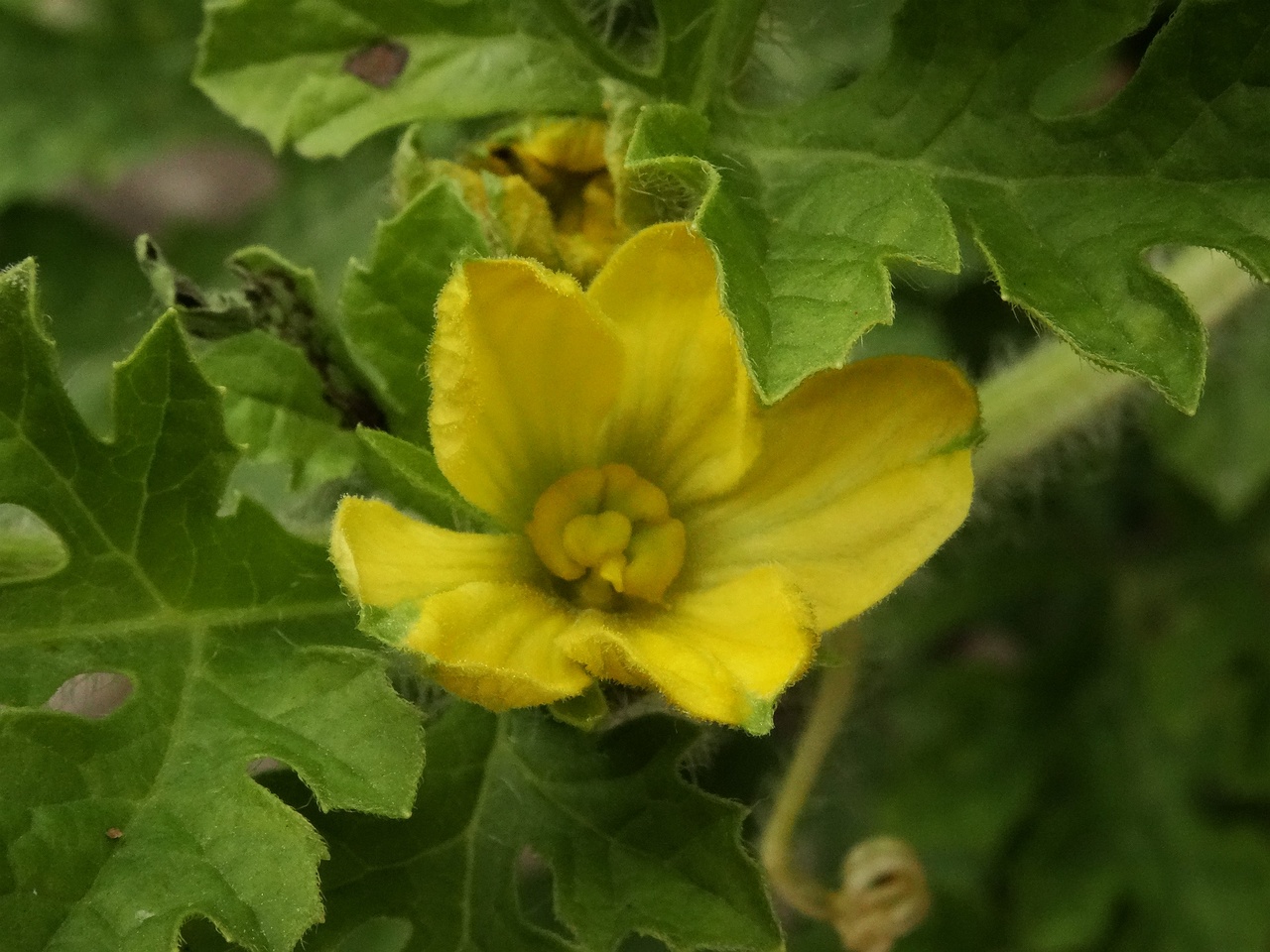 DSC03909