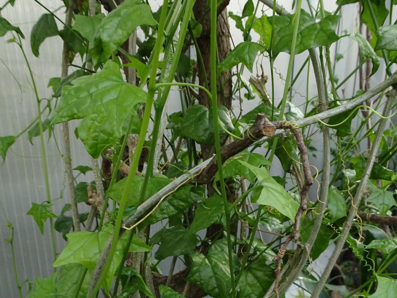 DSC01352