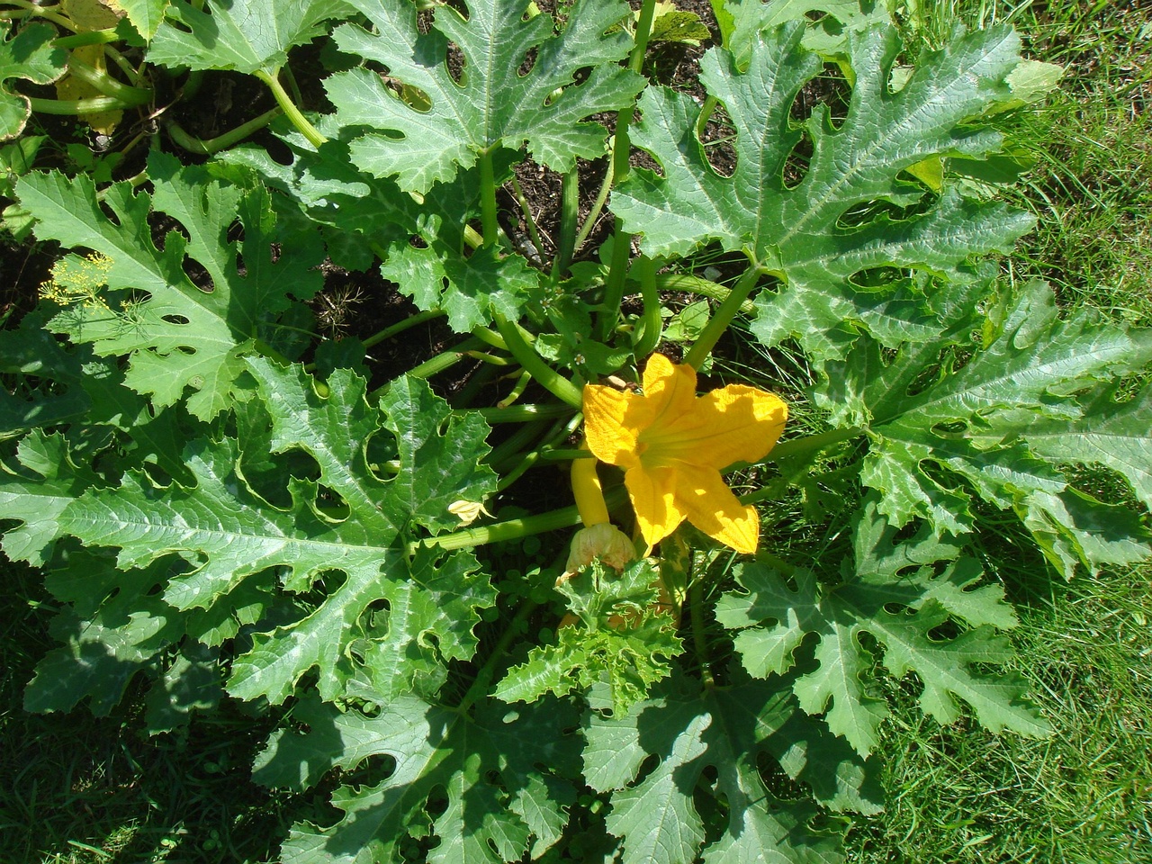 DSC03620