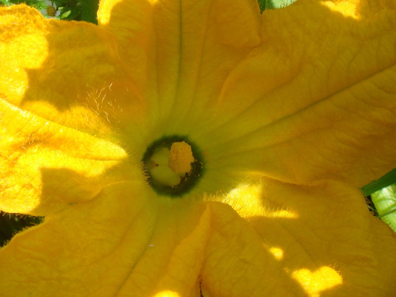 DSC03623