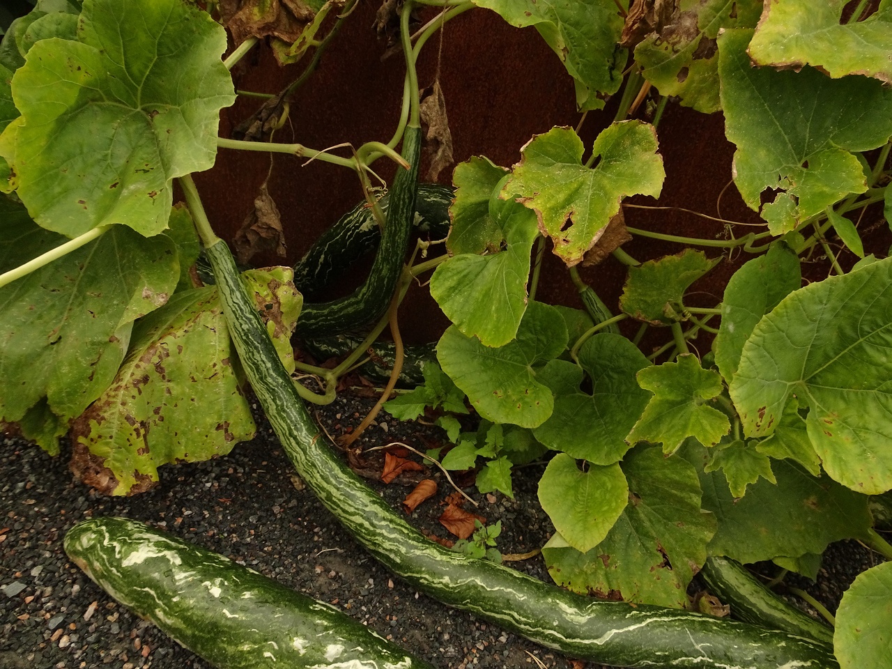 DSC05047
