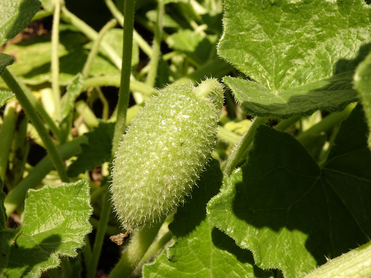 DSC05343