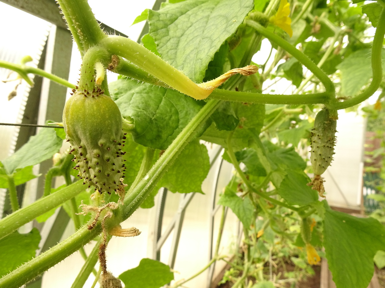 DSC00001