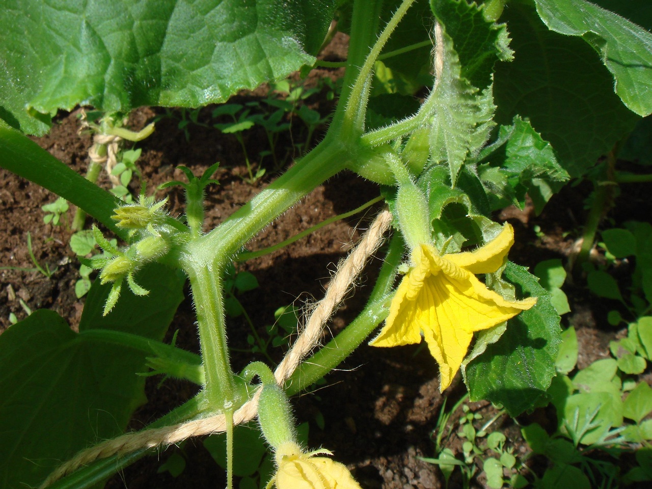 DSC01191