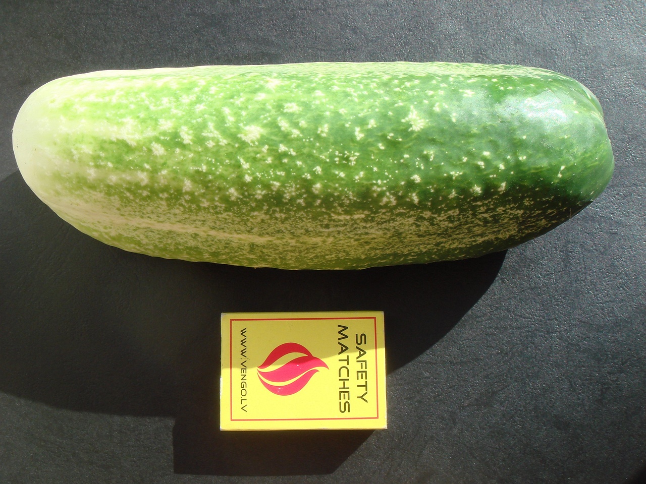 DSC01206