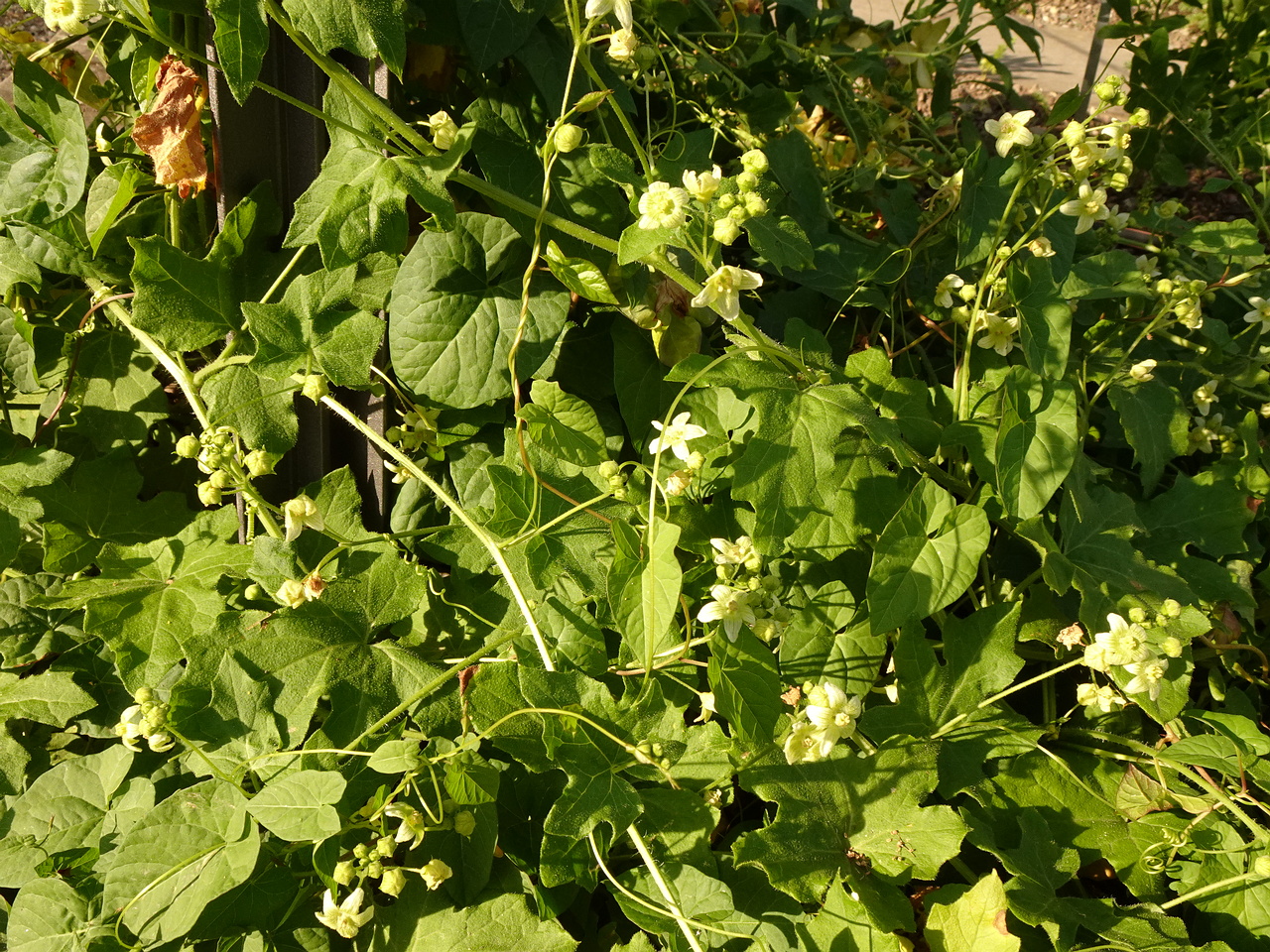 DSC01651