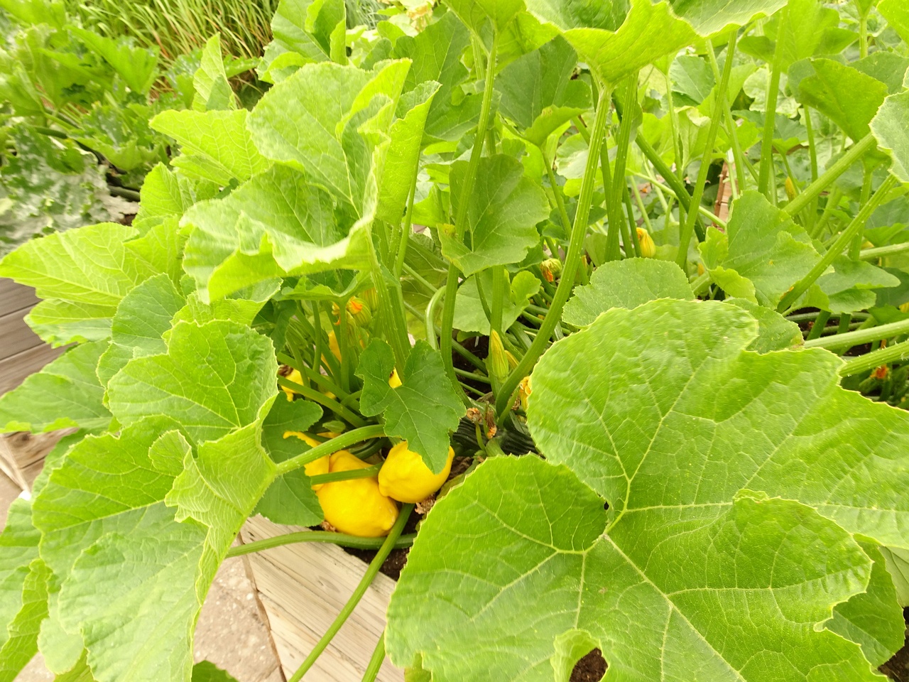 DSC04687