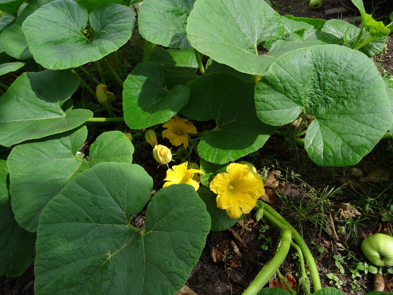 DSC00055