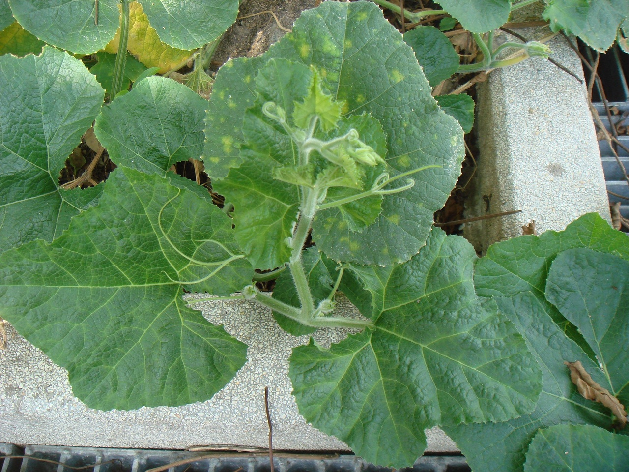 DSC04582