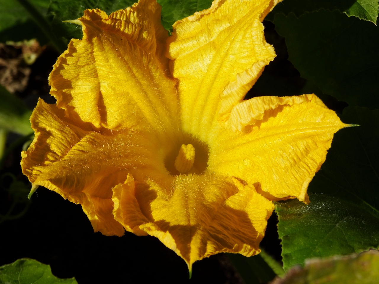 DSC03350
