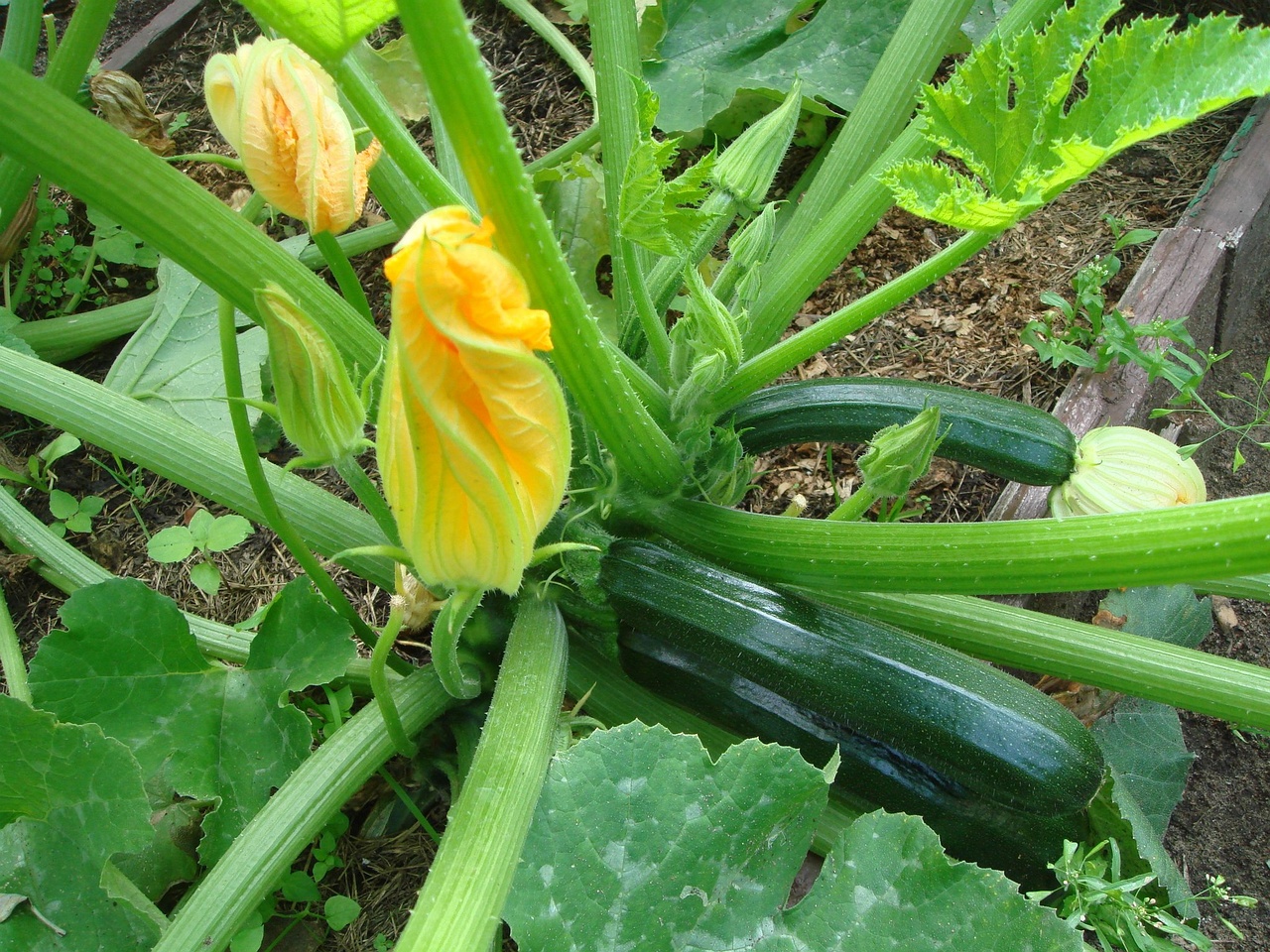 DSC08850