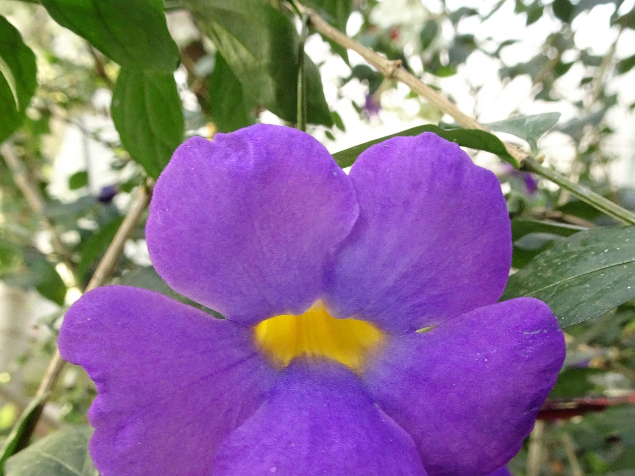 0DSC01272