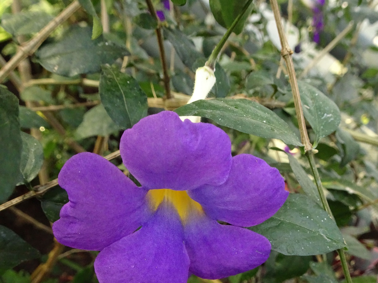 DSC01267