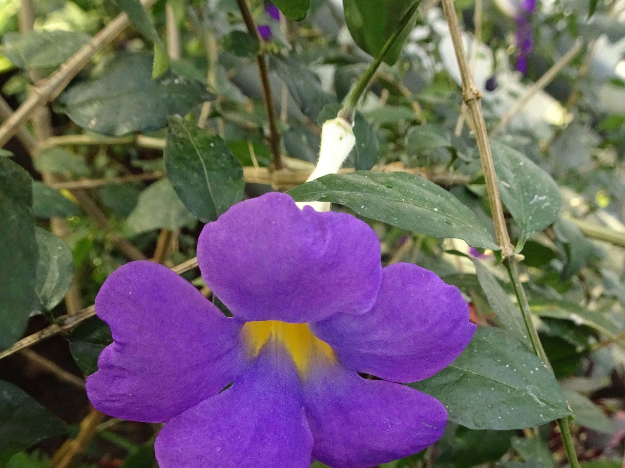 DSC01269
