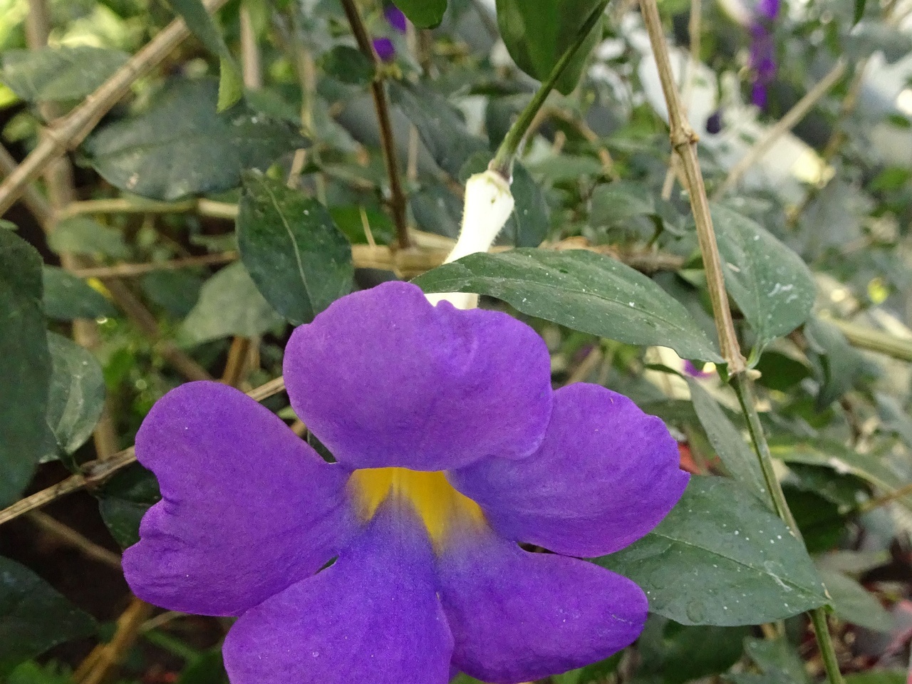 DSC01270