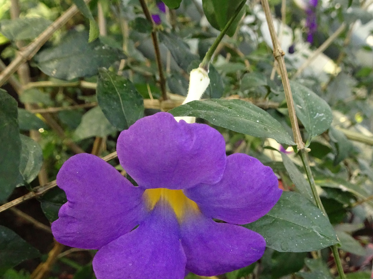 DSC01271