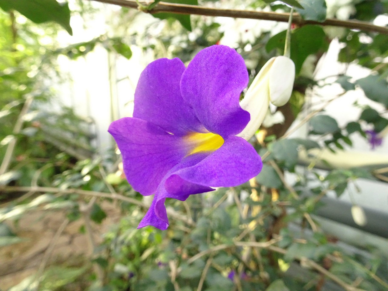 DSC01277