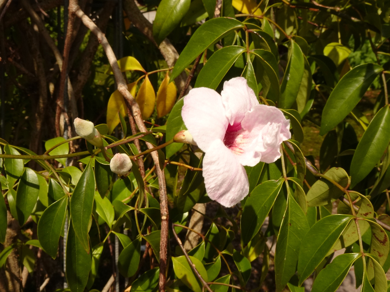 DSC02297