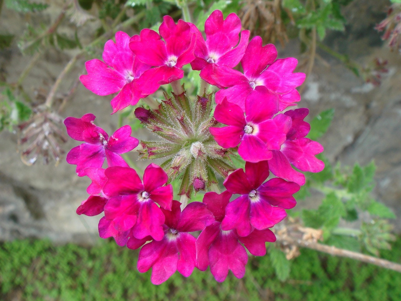 DSC06900