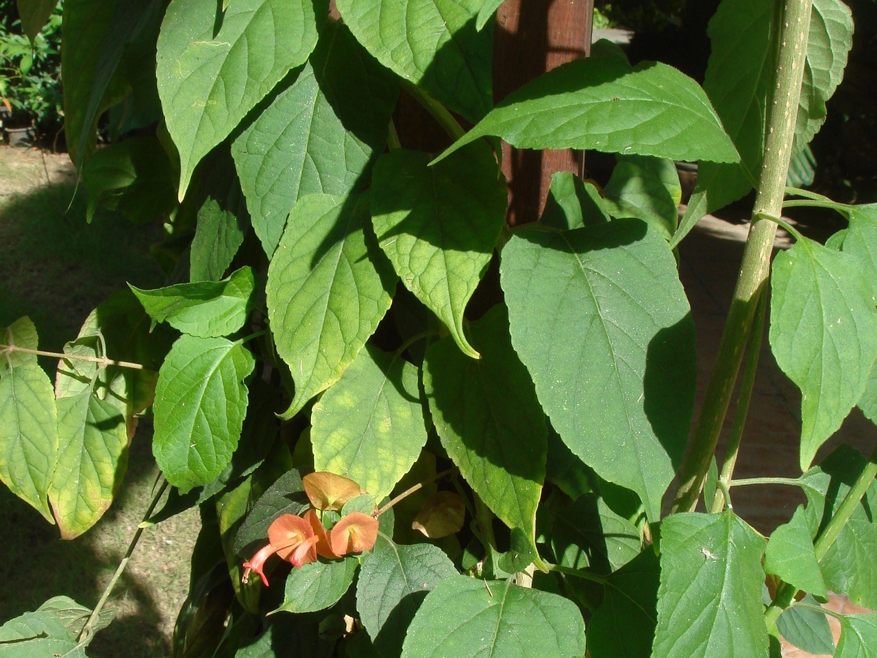 DSC05636