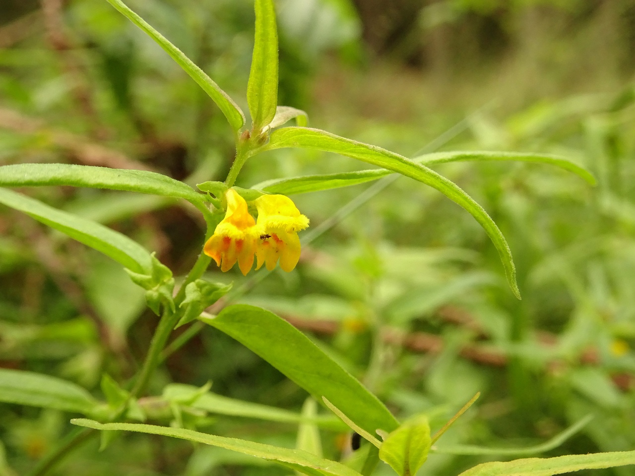 0DSC09907