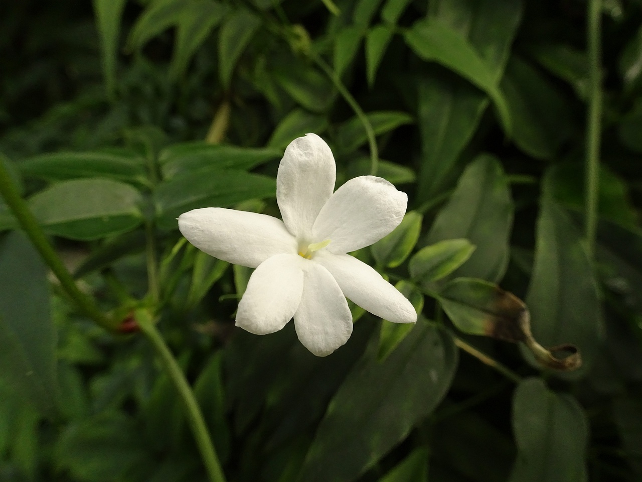 DSC01761