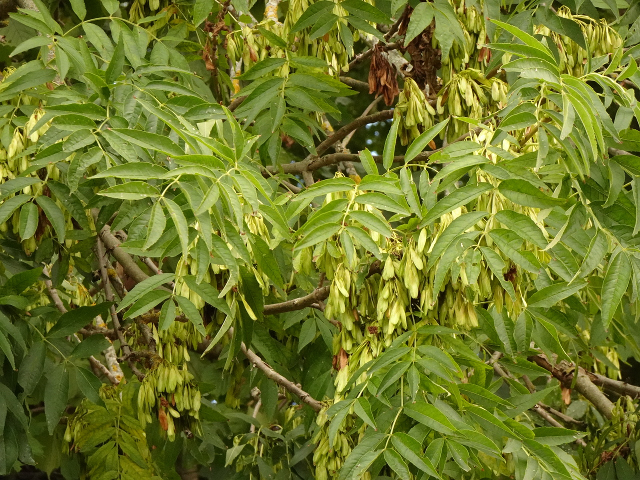 DSC05635