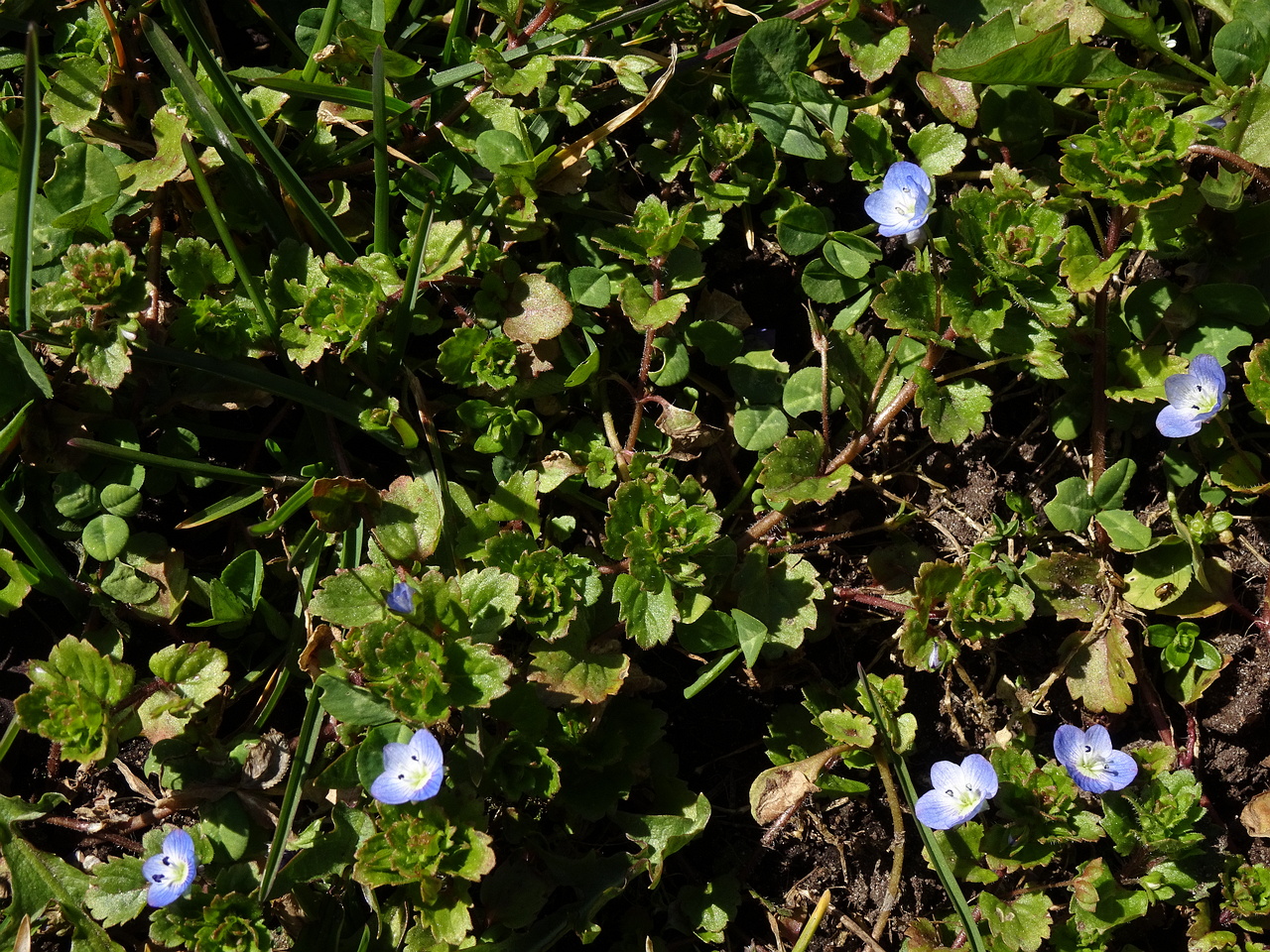 DSC05584