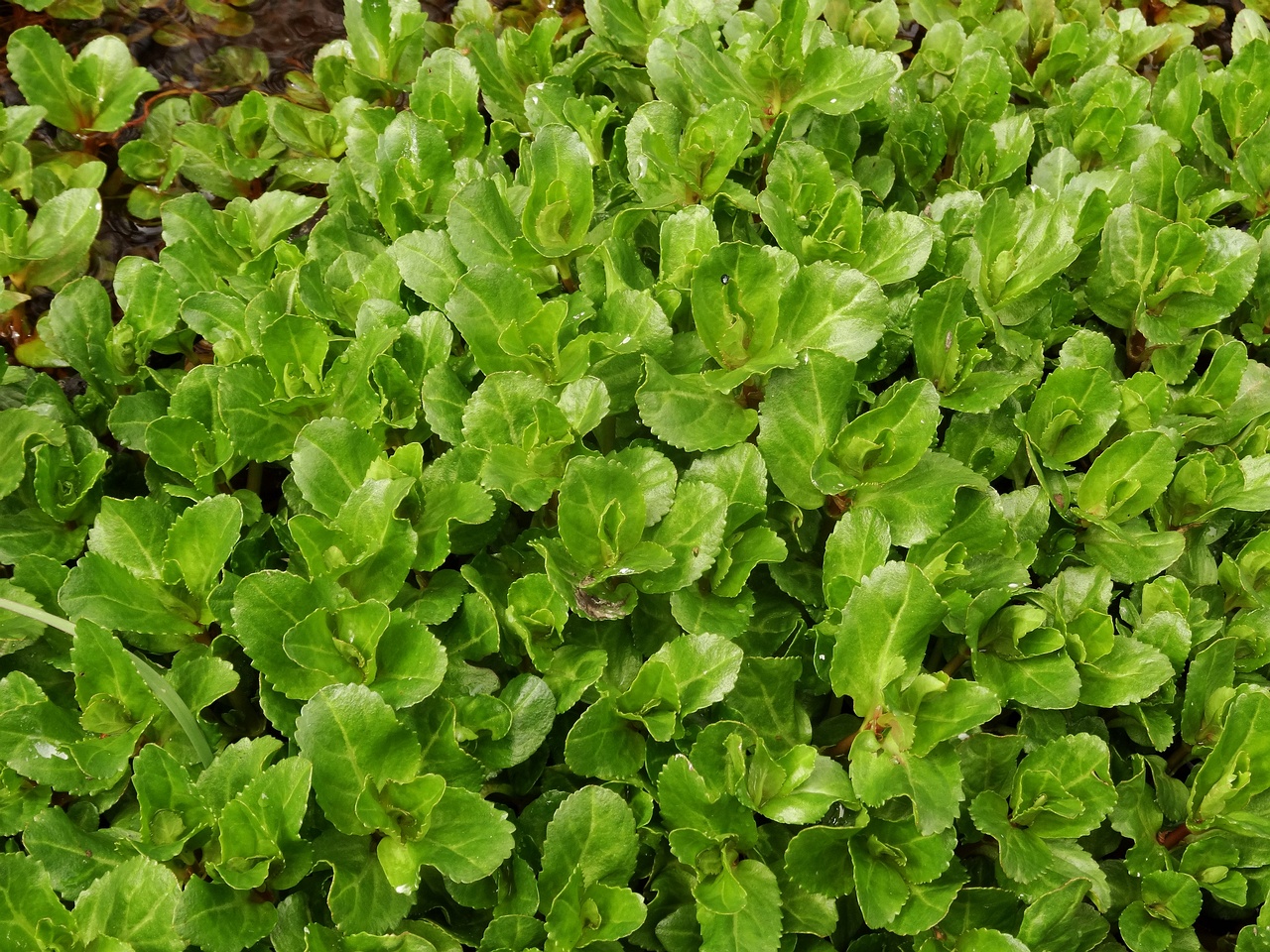 DSC09519
