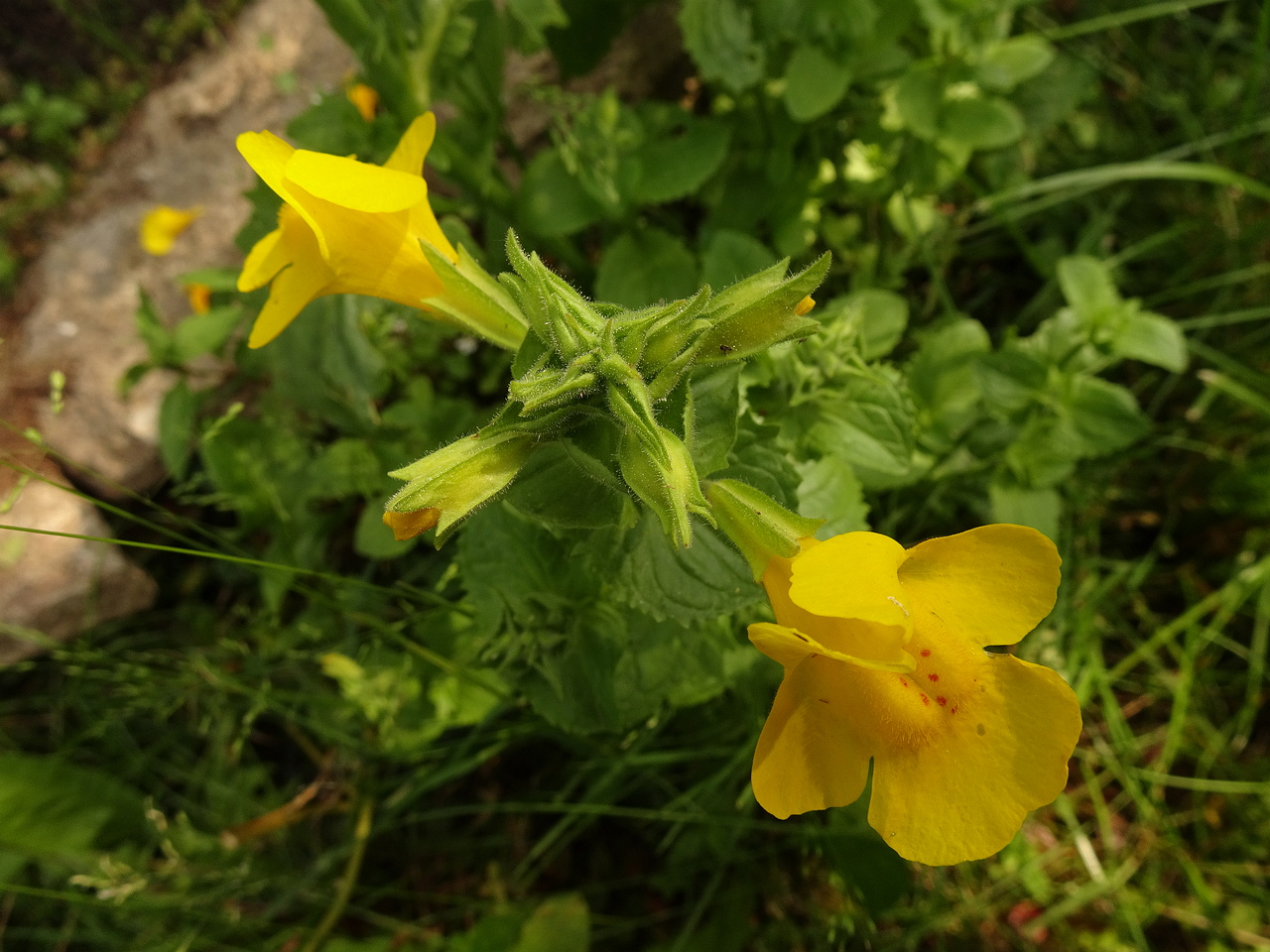 DSC03800