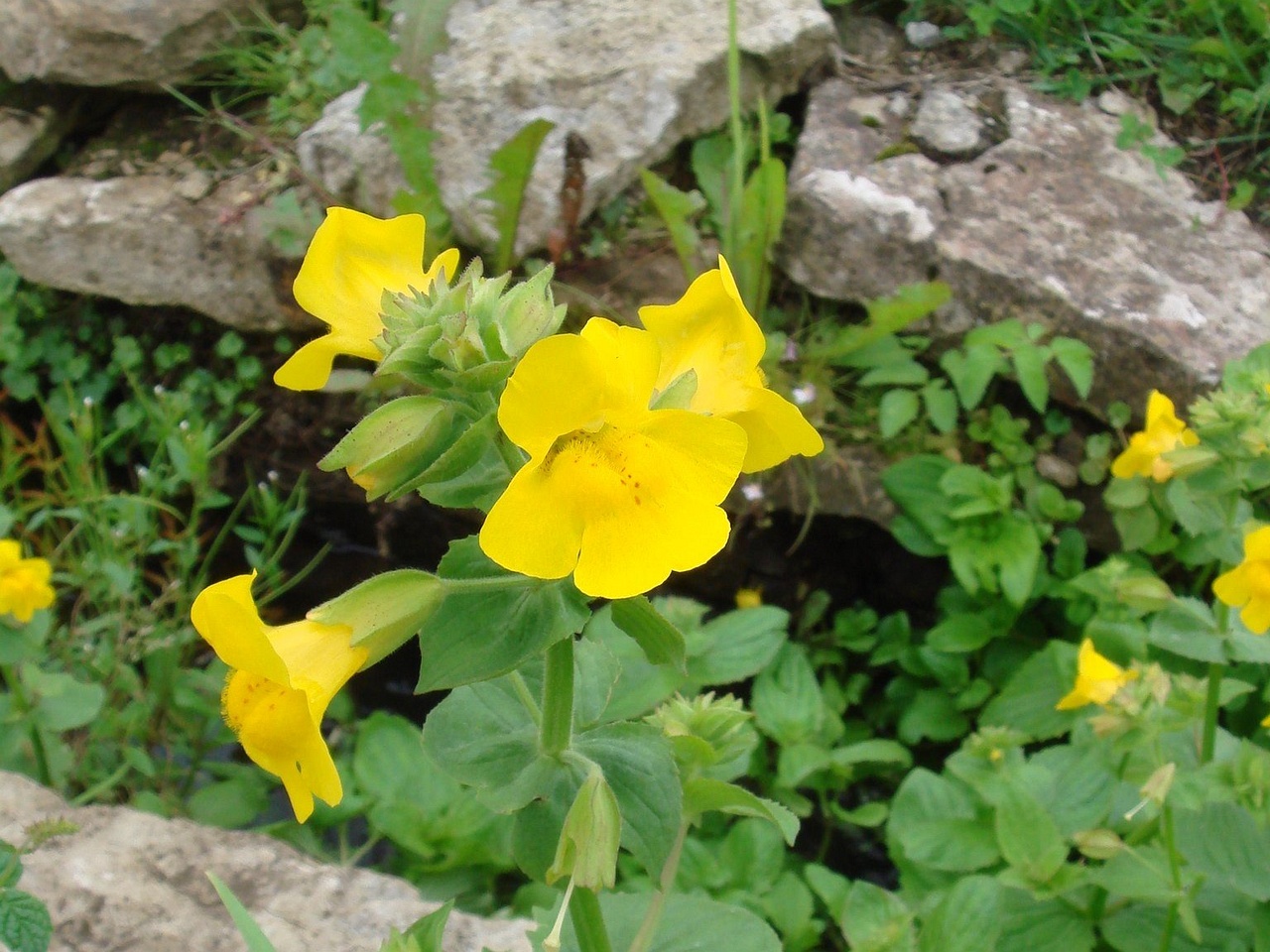 DSC04507