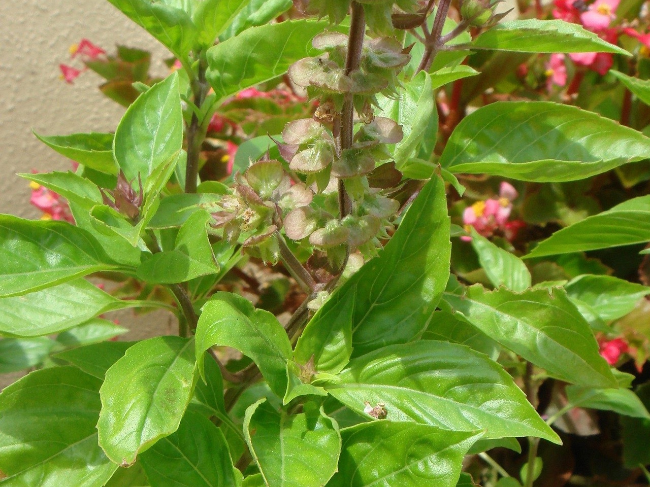 DSC03065