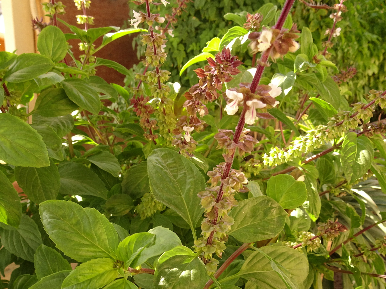 DSC05100