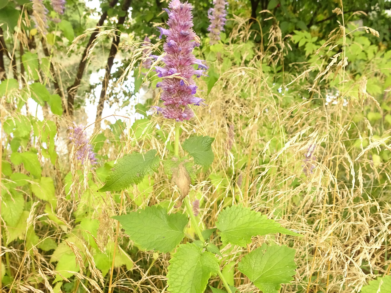 DSC01105