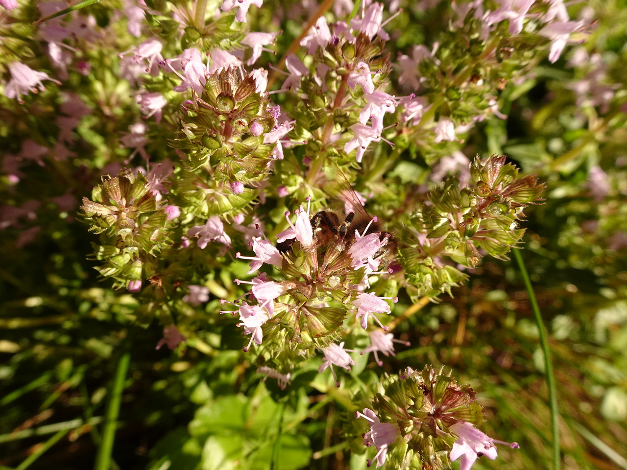 DSC05089