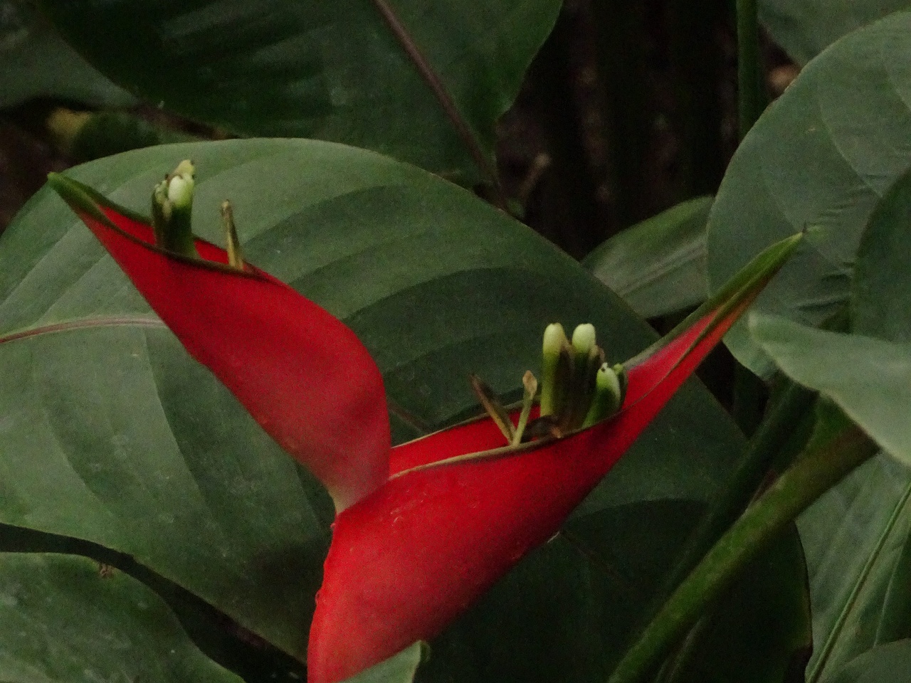 DSC04470
