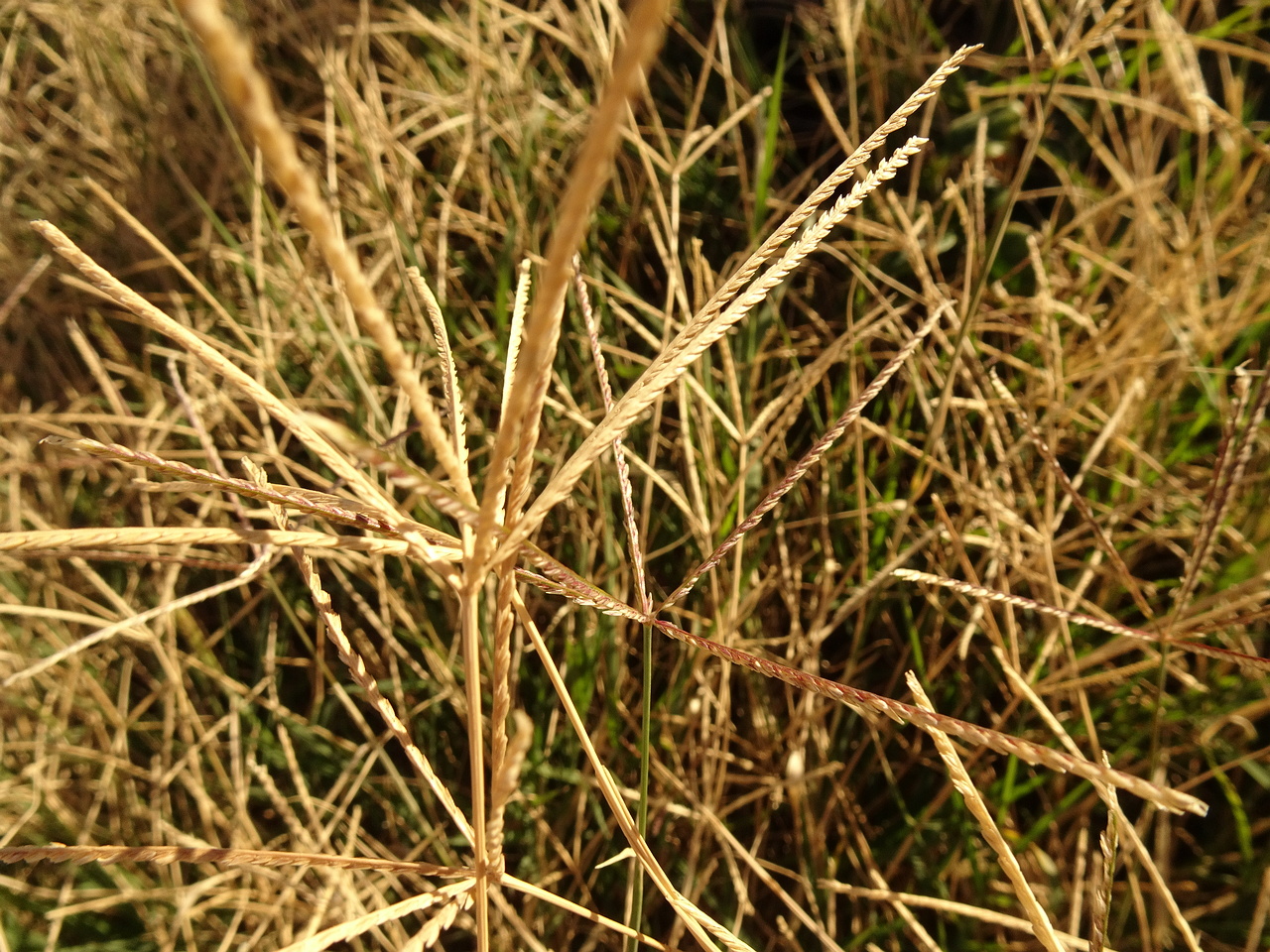 DSC05208