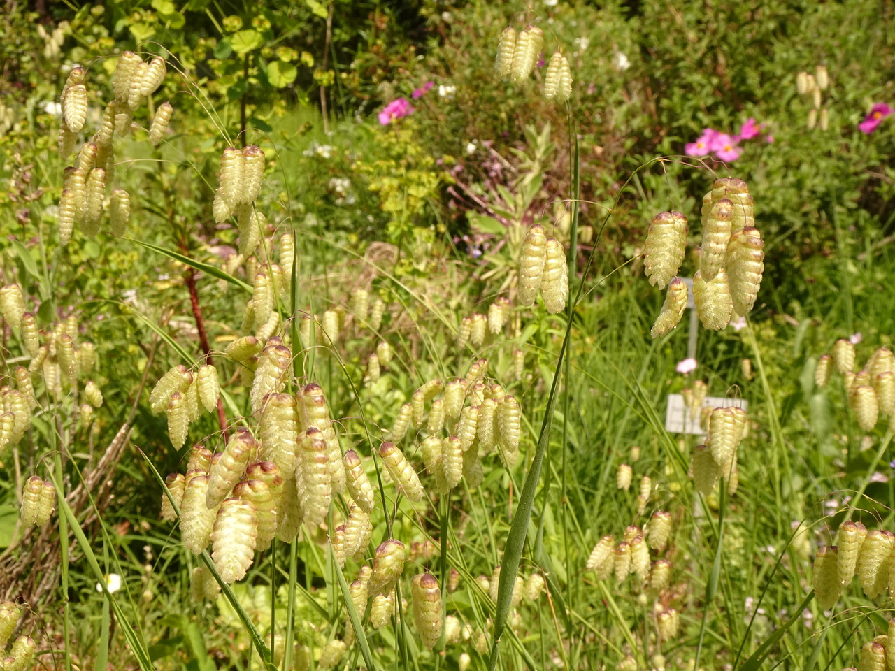 DSC02208