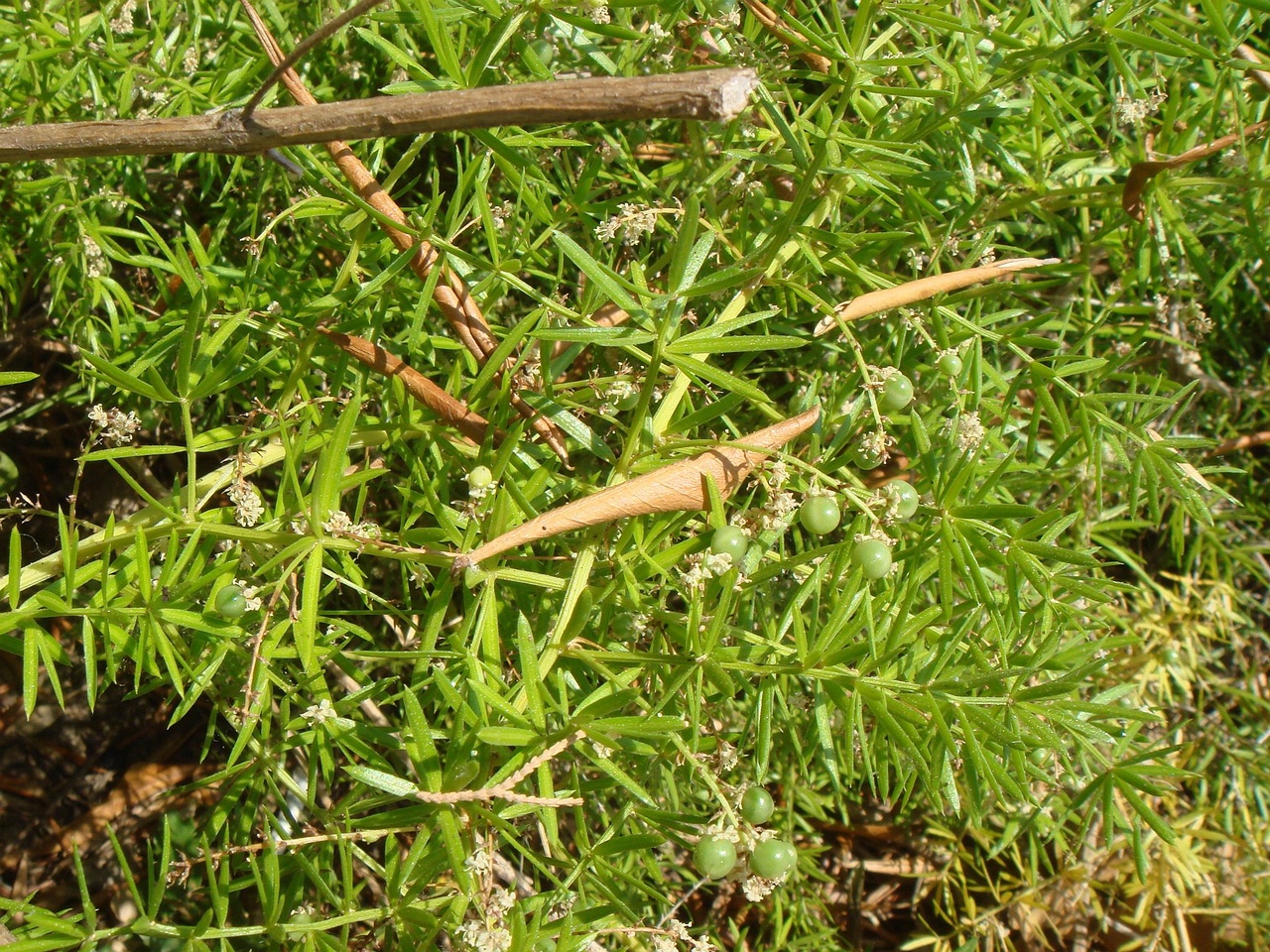 DSC02207