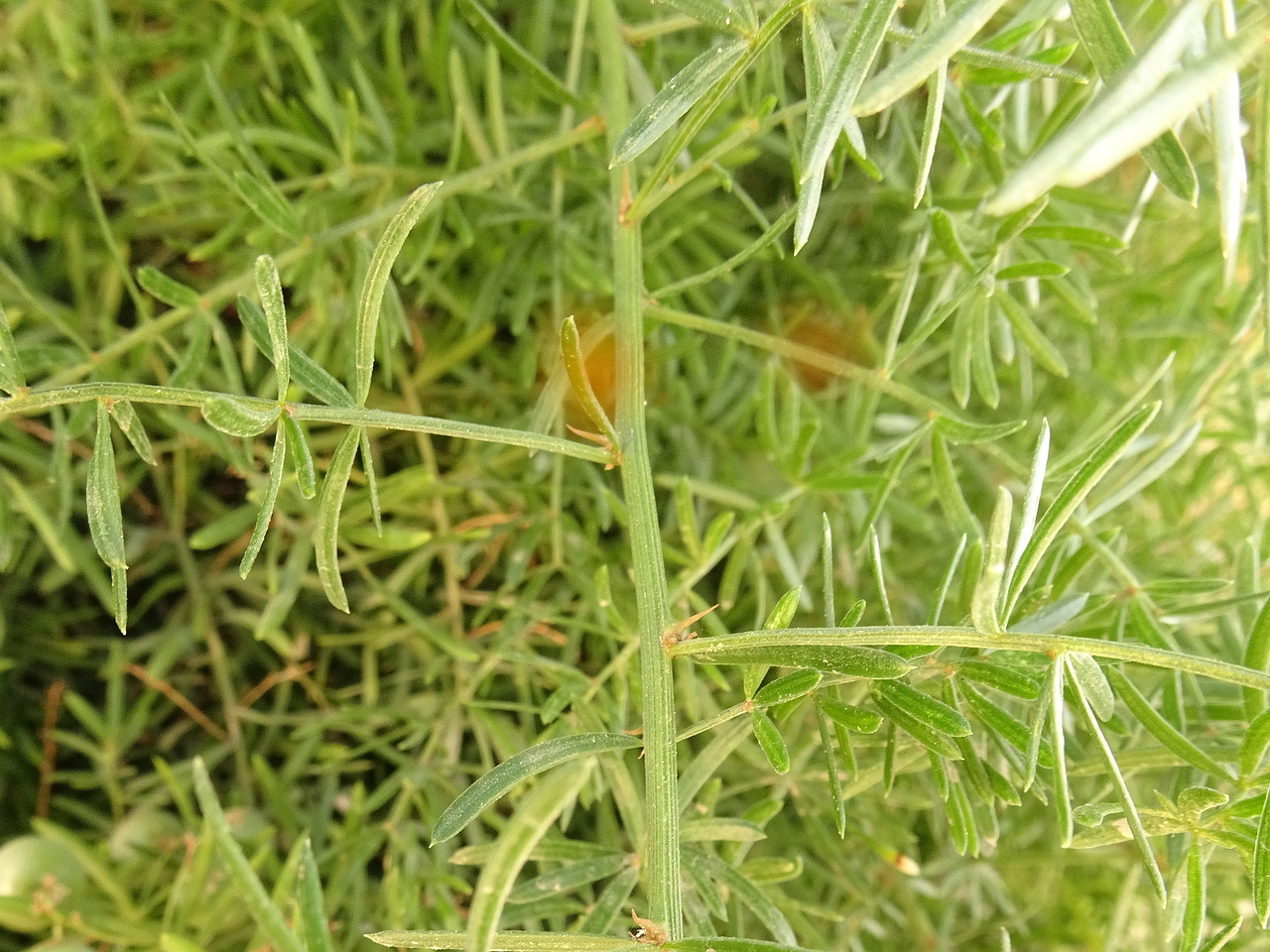 DSC05094
