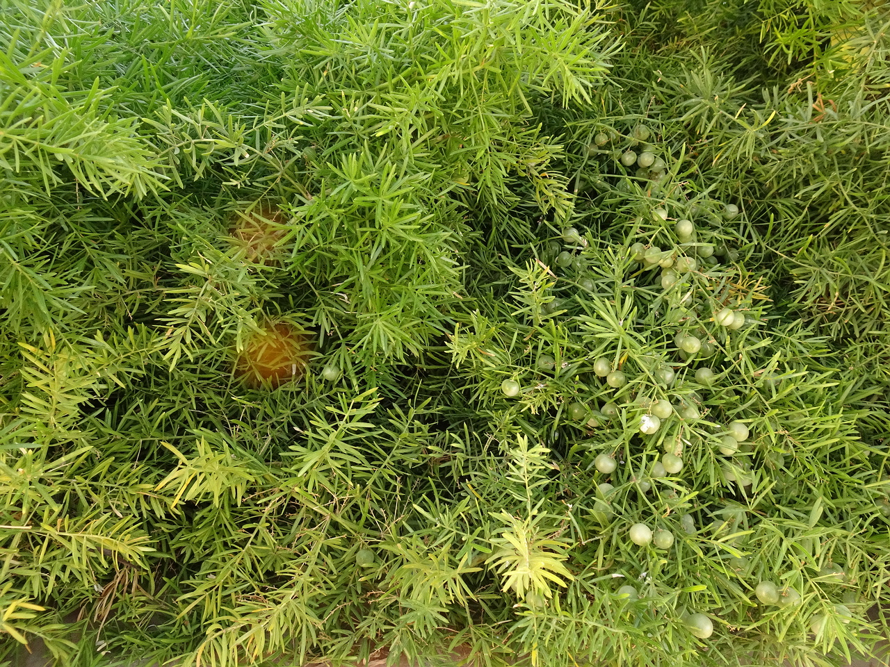 DSC05095